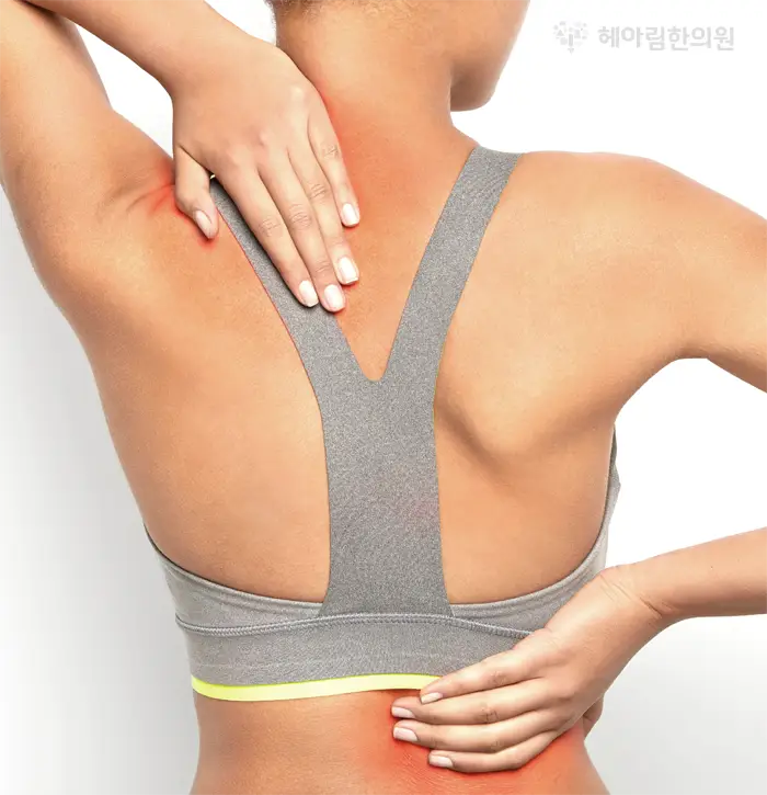 만성통증 원인 치료 - 만성 염증 (통증)