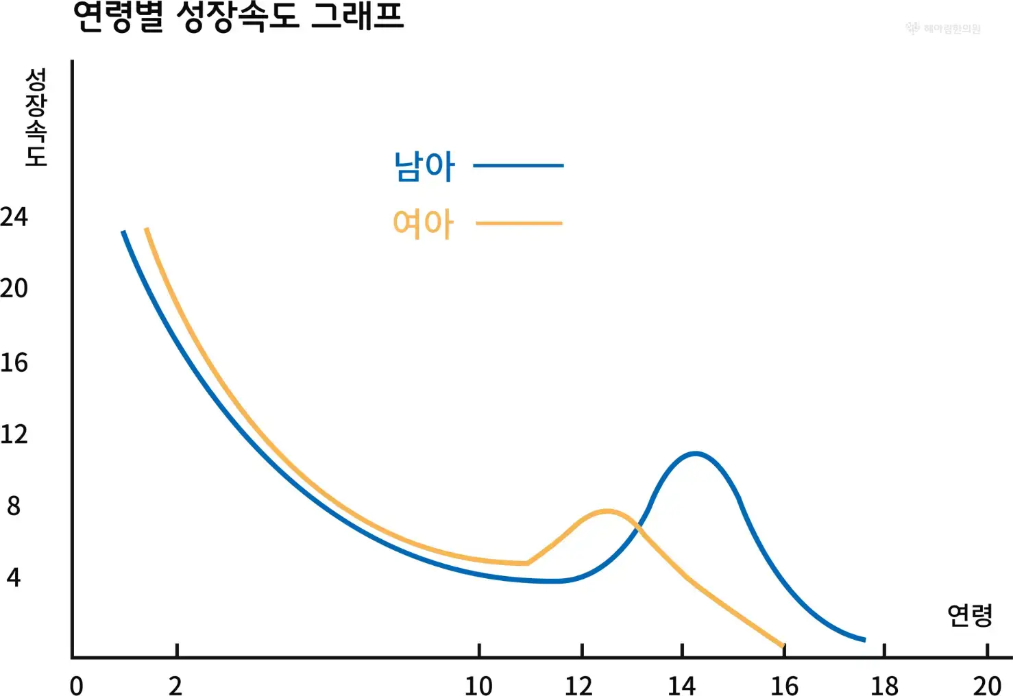 소아 청소년 치료 - 성장·총명