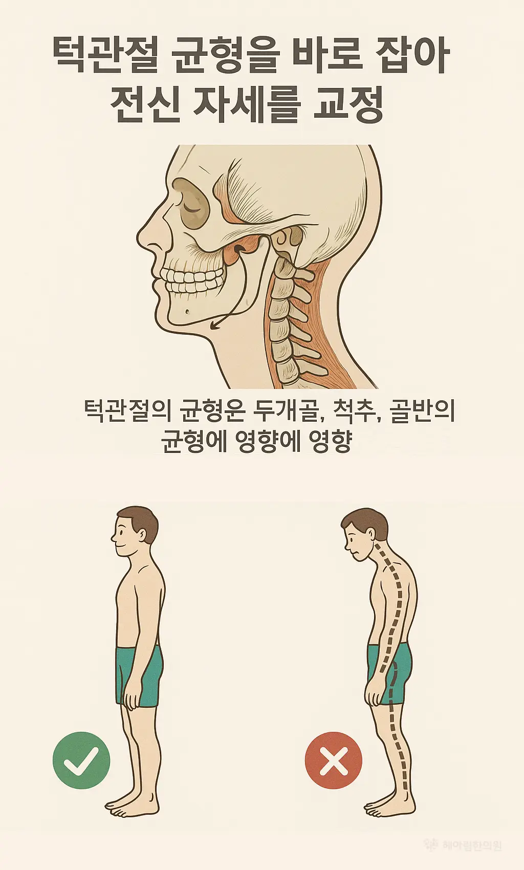 자세교정 원인 치료 - 턱관절 불균형 2