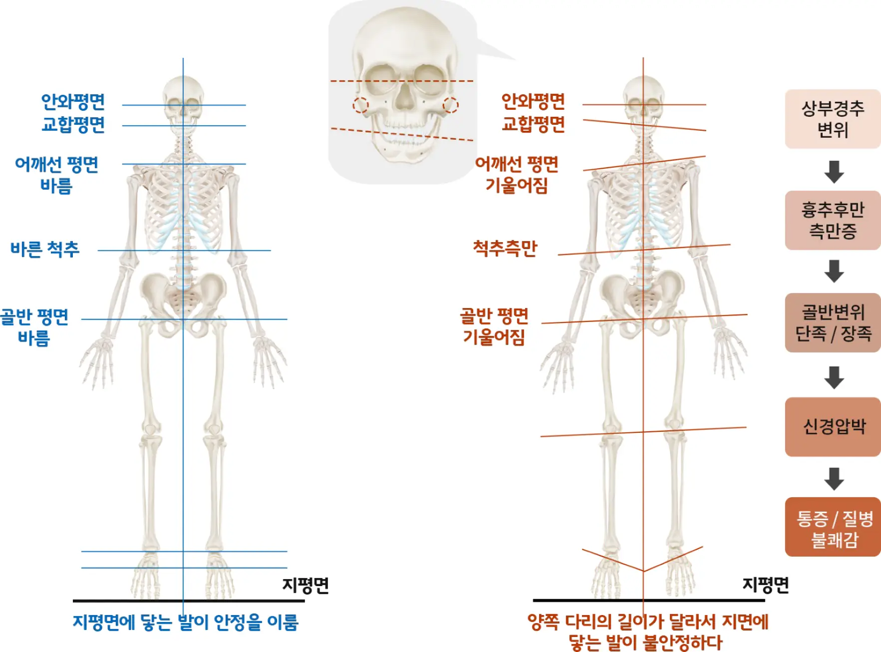 헤아림한의원 - 소아 · 여성 · 다이어트 5
